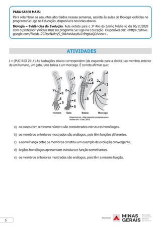 5
ATIVIDADES
1 – (PUC-RIO 2014) As ilustrações abaixo correspondem (da esquerda para a direita) ao membro anterior
de um humano, um gato, uma baleia e um morcego. É correto afirmar que:
a) os ossos com o mesmo número são considerados estruturas homólogas.
b) os membros anteriores mostrados são análogos, pois têm funções diferentes.
c) a semelhança entre os membros constitui um exemplo de evolução convergente.
d) órgãos homólogos apresentam estrutura e função semelhantes.
e) os membros anteriores mostrados são análogos, pois têm a mesma função.
Para relembrar os assuntos abordados nessas semanas, assista às aulas de Biologia exibidas no
programa Se Liga na Educação, disponíveis nos links abaixo.
com o professor Vinícius Braz no programa Se Liga na Educação. Disponível em: <https://drive.
google.com/file/d/17CPbeNAMy5_9KkhxsAaytlu7zPtgKaQD/view>.
 