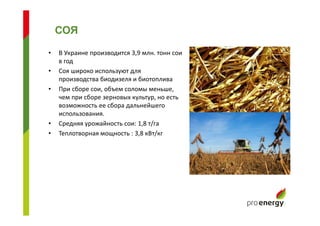 • В Украине производится 3,9 млн. тонн сои
в год
• Соя широко используют для
производства биодизеля и биотоплива
• При сборе сои, объем соломы меньше,
чем при сборе зерновых культур, но есть
возможность ее сбора дальнейшего
использования.
• Средняя урожайность сои: 1,8 т/га
• Теплотворная мощность : 3,8 кВт/кг
СОЯ
 
