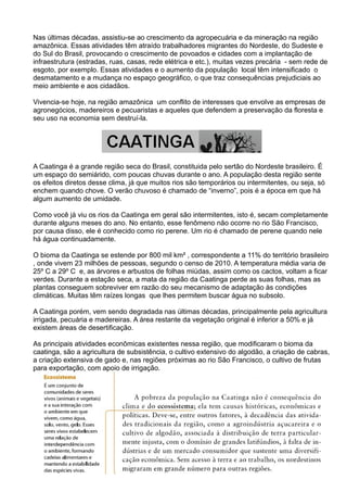 Nas últimas décadas, assistiu-se ao crescimento da agropecuária e da mineração na região
amazônica. Essas atividades têm atraído trabalhadores migrantes do Nordeste, do Sudeste e
do Sul do Brasil, provocando o crescimento de povoados e cidades com a implantação de
infraestrutura (estradas, ruas, casas, rede elétrica e etc.), muitas vezes precária - sem rede de
esgoto, por exemplo. Essas atividades e o aumento da população local têm intensificado o
desmatamento e a mudança no espaço geográfico, o que traz consequências prejudiciais ao
meio ambiente e aos cidadãos.
Vivencia-se hoje, na região amazônica um conflito de interesses que envolve as empresas de
agronegócios, madereiros e pecuaristas e aqueles que defendem a preservação da floresta e
seu uso na economia sem destruí-la.
A Caatinga é a grande região seca do Brasil, constituida pelo sertão do Nordeste brasileiro. É
um espaço do semiárido, com poucas chuvas durante o ano. A população desta região sente
os efeitos diretos desse clima, já que muitos rios são temporários ou intermitentes, ou seja, só
enchem quando chove. O verão chuvoso é chamado de “inverno”, pois é a época em que há
algum aumento de umidade.
Como você já viu os rios da Caatinga em geral são intermitentes, isto é, secam completamente
durante alguns meses do ano. No entanto, esse fenômeno não ocorre no rio São Francisco,
por causa disso, ele é conhecido como rio perene. Um rio é chamado de perene quando nele
há água continuadamente.
O bioma da Caatinga se estende por 800 mil km² , correspondente a 11% do território brasileiro
, onde vivem 23 milhões de pessoas, segundo o censo de 2010. A temperatura média varia de
25º C a 29º C e, as árvores e arbustos de folhas miúdas, assim como os cactos, voltam a ficar
verdes. Durante a estação seca, a mata da região da Caatinga perde as suas folhas, mas as
plantas conseguem sobreviver em razão do seu mecanismo de adaptação às condições
climáticas. Muitas têm raízes longas que lhes permitem buscar água no subsolo.
A Caatinga porém, vem sendo degradada nas últimas décadas, principalmente pela agricultura
irrigada, pecuária e madereiras. A área restante da vegetação original é inferior a 50% e já
existem áreas de desertificação.
As principais atividades econômicas existentes nessa região, que modificaram o bioma da
caatinga, são a agricultura de subsistência, o cultivo extensivo do algodão, a criação de cabras,
a criação extensiva de gado e, nas regiões próximas ao rio São Francisco, o cultivo de frutas
para exportação, com apoio de irrigação.
 