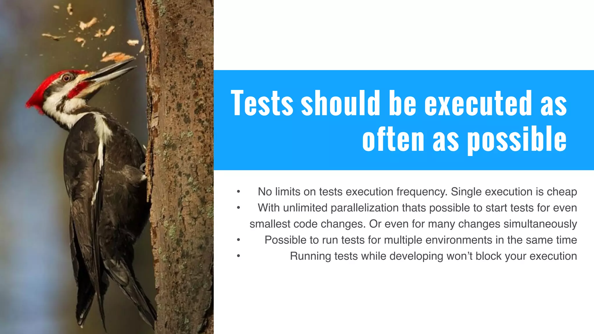 Tests should be executed as
often as possible
• No limits on tests execution frequency. Single execution is cheap
• With unlimited parallelization thats possible to start tests for even
smallest code changes. Or even for many changes simultaneously
• Possible to run tests for multiple environments in the same time
• Running tests while developing won’t block your execution
 