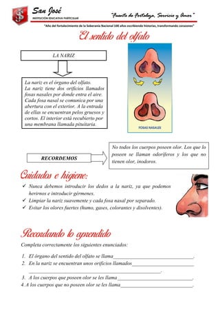 ✓ Nunca debemos introducir los dedos a la nariz, ya que podemos
herirnos e introducir gérmenes.
✓ Limpiar la nariz suavemente y cada fosa nasal por separado.
✓ Evitar los olores fuertes (humo, gases, colorantes y disolventes).
Completa correctamente los siguientes enunciados:
1. El órgano del sentido del olfato se llama_______________________________.
2. En la nariz se encuentran unos orificios llamados________________________
___________________________________________________.
3. A los cuerpos que poseen olor se les llama_____________________________.
4. A los cuerpos que no poseen olor se les llama____________________________.
INSTITUCIÓN EDUCATIVA PARTICULAR
“Fuente de Fortaleza, Servicio y Amor”
“Año del fortalecimiento de la Soberanía Nacional 100 años escribiendo historias, transformando corazones”
LA NARIZ
La nariz es el órgano del olfato.
La nariz tiene dos orificios llamados
fosas nasales por donde entra el aire.
Cada fosa nasal se comunica por una
abertura con el exterior. A la entrada
de ellas se encuentran pelos gruesos y
cortos. El interior está recubierto por
una membrana llamada pituitaria.
RECORDEMOS
No todos los cuerpos poseen olor. Los que lo
poseen se llaman odoríferos y los que no
tienen olor, inodoros.
 