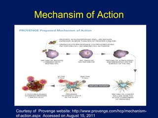 Mechansim of Action Courtesy of  Provenge website: http://www.provenge.com/hcp/mechanism-of-action.aspx  Accessed on August 15, 2011 