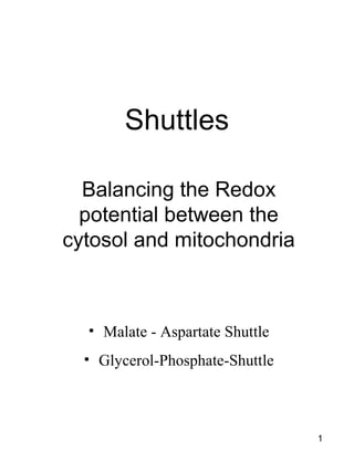 Shuttles
Balancing the Redox
potential between the
cytosol and mitochondria

• Malate - Aspartate Shuttle
• Glycerol-Phosphate-Shuttle

1

 