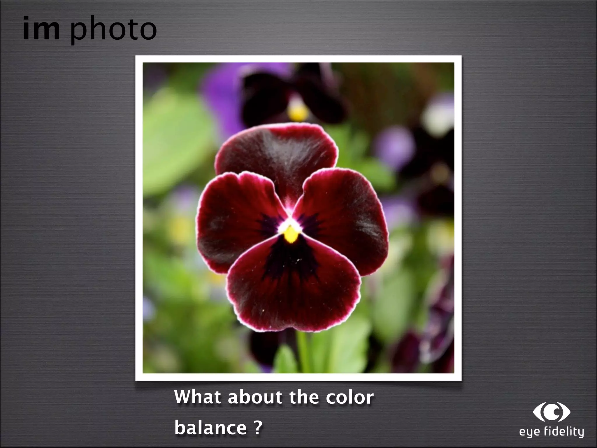 im photo




           What about the color
           balance ?
 