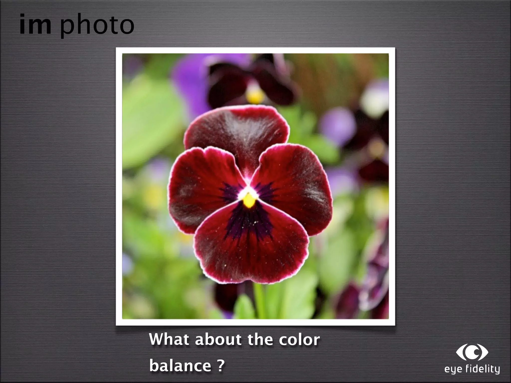 im photo




           What about the color
           balance ?
 