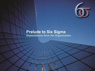 Prelude to Six Sigma Expectations form the Organization 