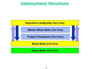 Executive Leadership (Part-Time)
Master Black Belts (Full-Time)
Project Champions (Part-Time)
Black Belts (Full-Time)
Green Belts (Part-Time)
15
 