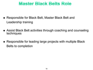  Responsible for Black Belt, Master Black Belt and
Leadership training
 Assist Black Belt activities through coaching and counseling
techniques
 Responsible for leading large projects with multiple Black
Belts to completion
18
 