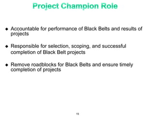  Accountable for performance of Black Belts and results of
projects
 Responsible for selection, scoping, and successful
completion of Black Belt projects
 Remove roadblocks for Black Belts and ensure timely
completion of projects
19
 