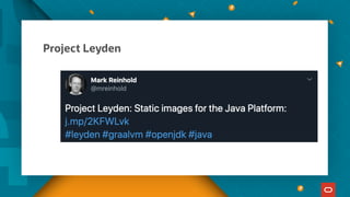 Project Leyden
 