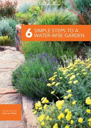 special advertising feature




                      6   Simple Steps To A
                          Water-wise Garden




Special insert from
Save our Water
 