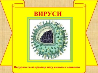 ВИРУСИ
Вирусите се на граница меѓу живото и неживото
 