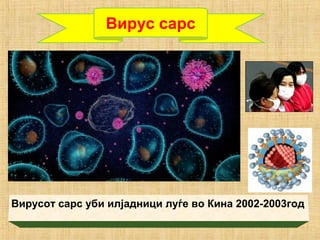 Вирусот сарс уби илјадници луѓе во Кина 2002-2003год
Вирус сарс
 