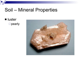 Soil – Mineral Properties luster pearly  