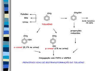 CH2OH 
Pulmões 
Bile 
Urina 
CH3 
OH 
o-cresol (0,1% na urina) 
CH3 
TOLUENO 
CH3 
OH 
p-cresol (1% na urina) 
proporções 
reduzidas 
Conjugação com PAPS e UDPGA 
ácido benzóico 
PRINCIPAIS VIAS DE BIOTRANSFORMAÇÃO DO TOLUENO 
75-80% 
 