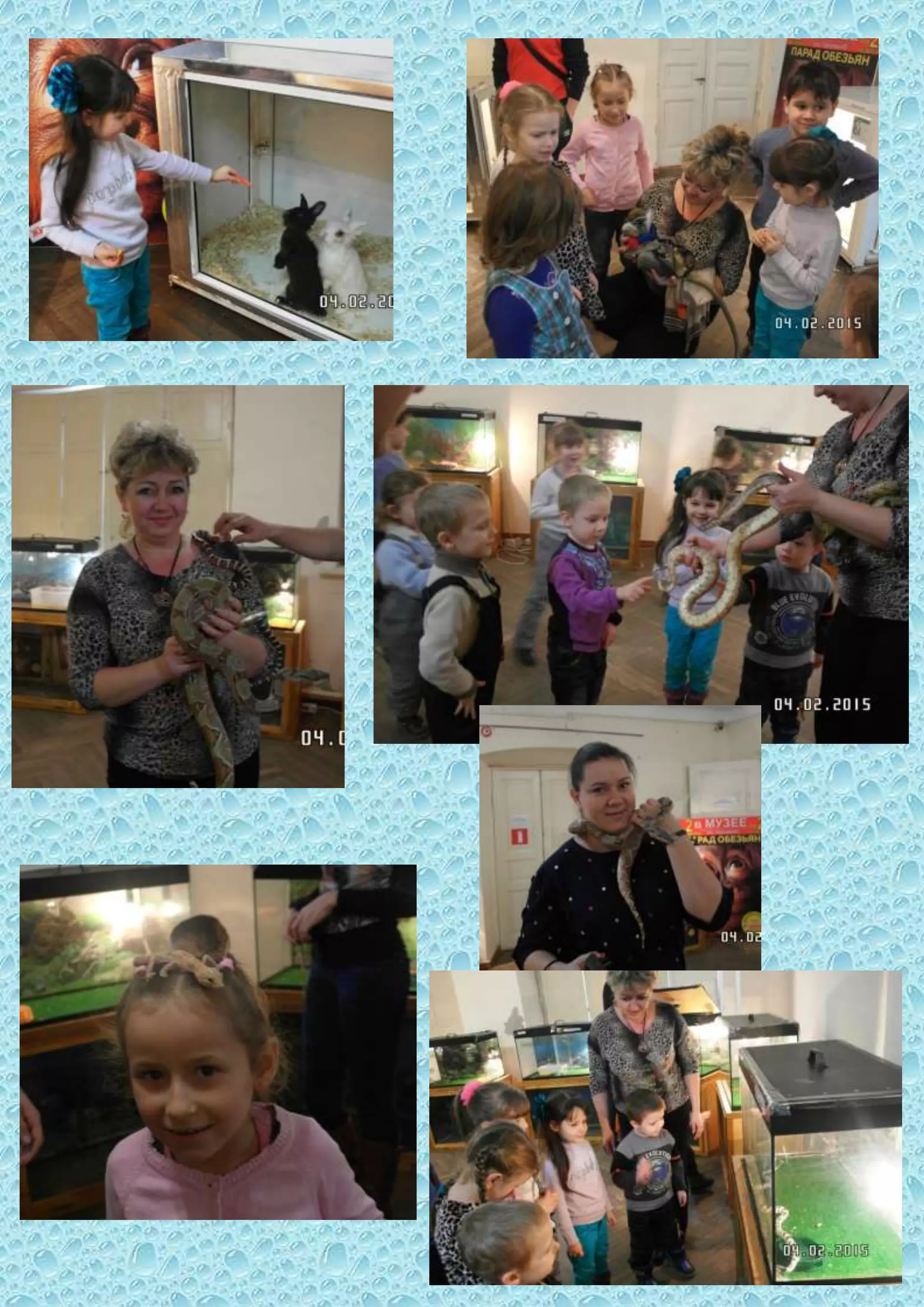 мир рептилий