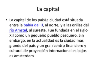 La capital
• La capital de los paisLa ciudad está situada
entre la bahía del IJ, al norte, y a las orillas del
río Amstel, al sureste. Fue fundada en el siglo
XII como un pequeño pueblo pesquero. Sin
embargo, en la actualidad es la ciudad más
grande del país y un gran centro financiero y
cultural de proyección internacional.es bajos
es amsterdam
 