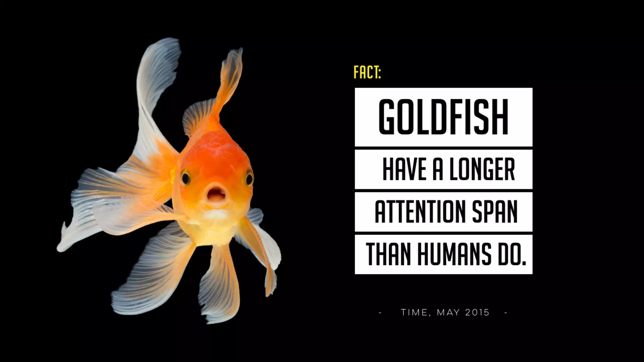 you’ve got
< 8 seconds
to engage
your audience.
Which means…
 