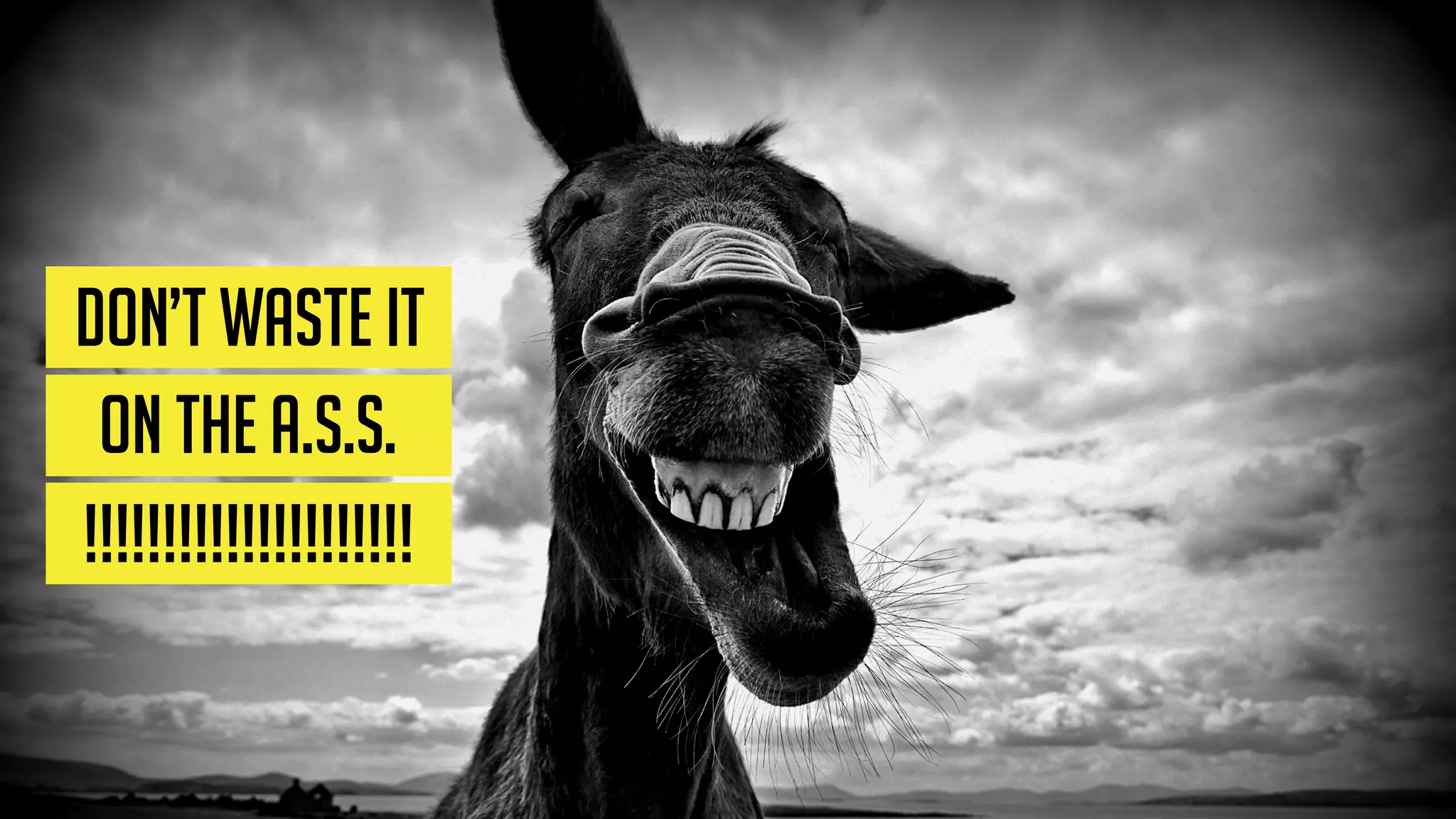 =A.S.S.
Agenda
Start
Slide
 