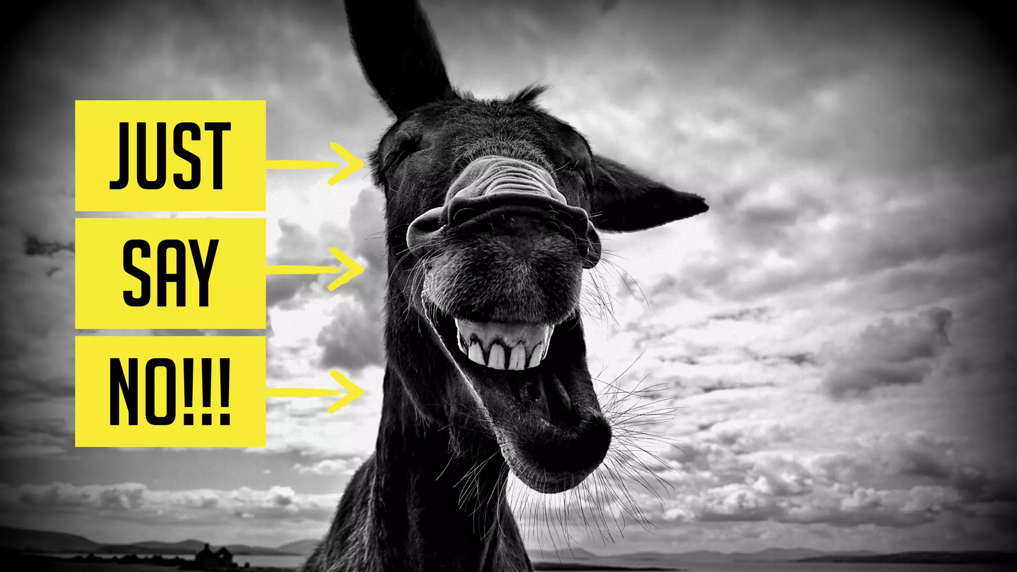 Instead of starting with the A.S.S.,
pro tip:
start with a story.
 