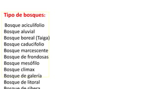 Tipo de bosques:
Bosque aciculifolio
Bosque aluvial
Bosque boreal (Taiga)
Bosque caducifolio
Bosque marcescente
Bosque de frondosas
Bosque mesófilo
Bosque climax
Bosque de galería
Bosque de litoral
 
