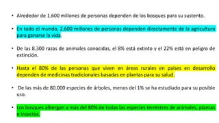 • Alrededor de 1.600 millones de personas dependen de los bosques para su sustento.
• En todo el mundo, 2.600 millones de personas dependen directamente de la agricultura
para ganarse la vida.
• De las 8.300 razas de animales conocidas, el 8% está extinto y el 22% está en peligro de
extinción.
• Hasta el 80% de las personas que viven en áreas rurales en países en desarrollo
dependen de medicinas tradicionales basadas en plantas para su salud.
• De las más de 80.000 especies de árboles, menos del 1% se ha estudiado para su posible
uso.
• Los bosques albergan a más del 80% de todas las especies terrestres de animales, plantas
e insectos.
 