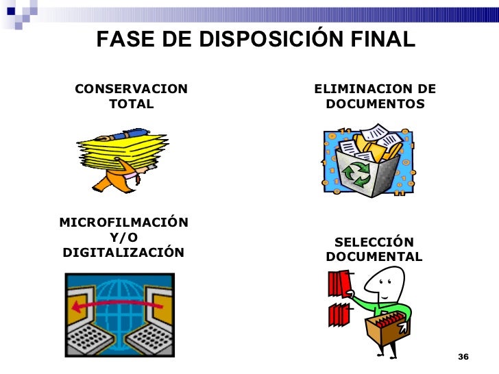Resultado de imagen para CONSERVACION TOTAL