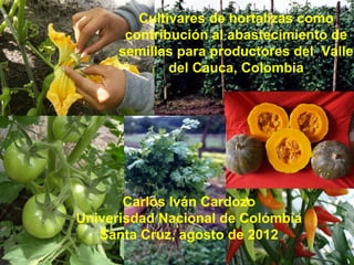 Cultivares de hortalizas como
       contribución al abastecimiento de
      semillas para productores del Valle
              del Cauca, Colombia




       Carlos Iván Cardozo
Univerisdad Nacional de Colombia
   Santa Cruz, agosto de 2012
 