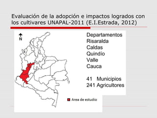 Cultivares de hortalizas como contribución al abastecimiento de semillas para productores del  Valle del Cauca, Colombia, Por Carlos Ivan Cardozo - UNAL