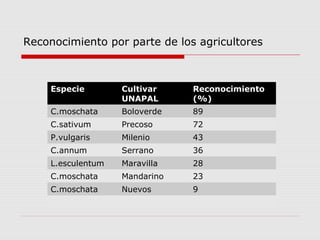 Cultivares de hortalizas como contribución al abastecimiento de semillas para productores del  Valle del Cauca, Colombia, Por Carlos Ivan Cardozo - UNAL