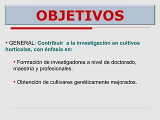 Cultivares de hortalizas como contribución al abastecimiento de semillas para productores del  Valle del Cauca, Colombia, Por Carlos Ivan Cardozo - UNAL