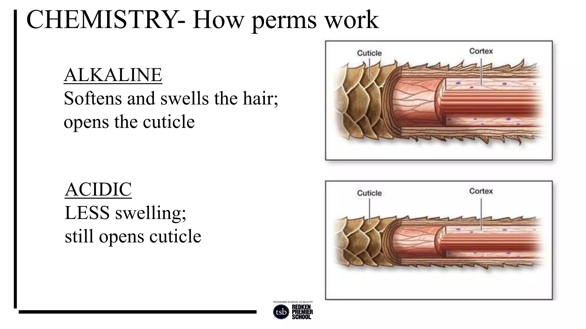 Texture Week 1 | PPTX