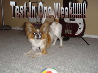 Test In One Week!!!!!!! 