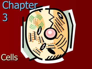Chapter 3 Cells 