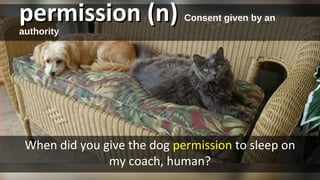 6th - Lesson 10 - Jose Born to Dance | PPT