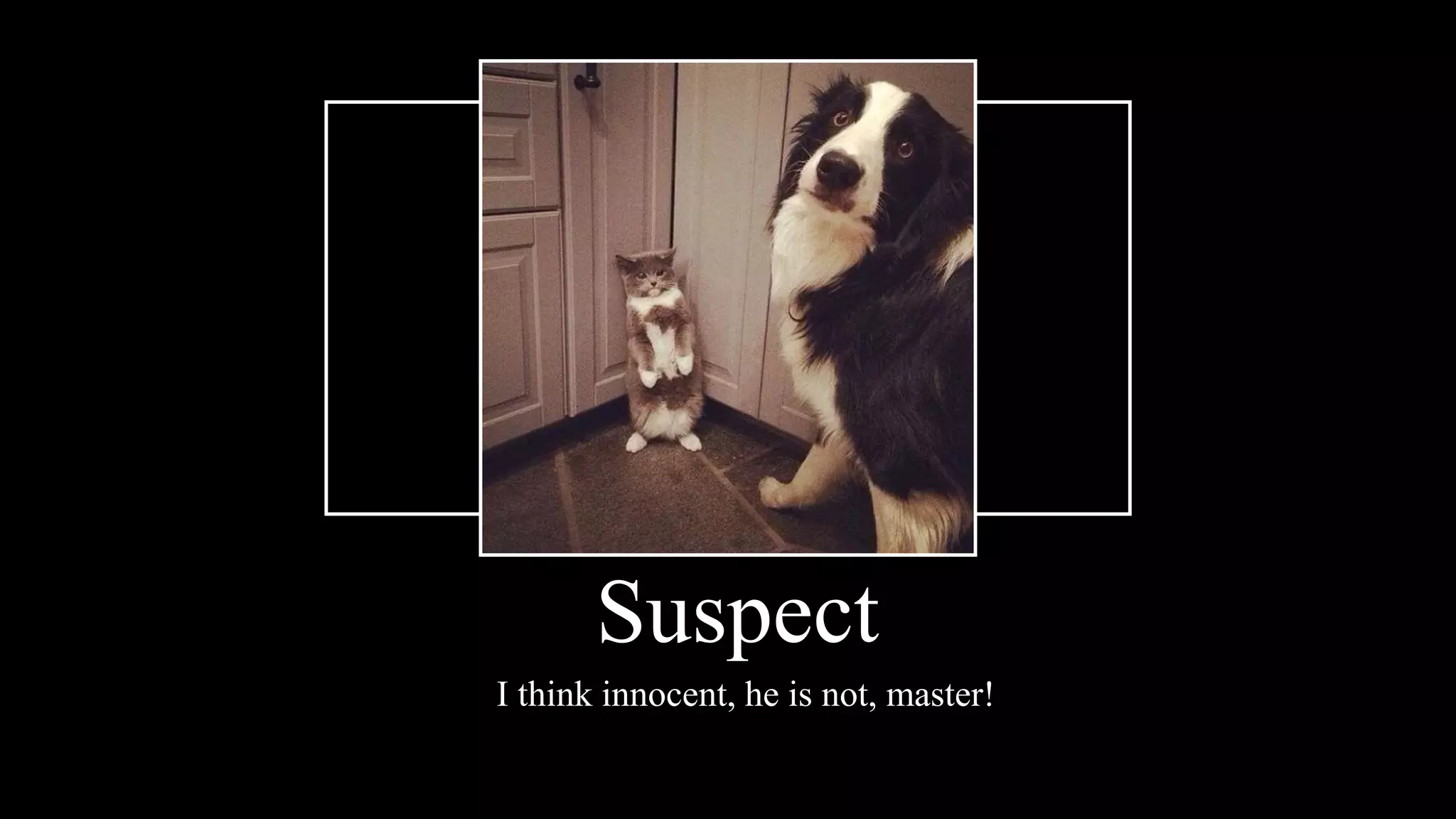 Suspect
I think innocent, he is not, master!
 