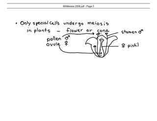 6th Meiosis lecture 2008