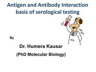 Antigen and Antibody Interaction 
By 
basis of serological testing 
Dr. Humera Kausar 
(PhD Molecular Biology) 
 