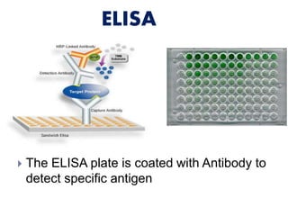 ELISA 
 The ELISA plate is coated with Antibody to 
detect specific antigen 
 