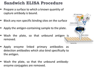 Sandwich ELISA Procedure 
 Prepare a surface to which a known quantity of 
capture antibody is bound. 
 Block any non specific binding sites on the surface 
 Apply the antigen-containing sample to the plate. 
 Wash the plate, so that unbound antigen is 
removed. 
 Apply enzyme linked primary antibodies as 
detection antibodies which also bind specifically to 
the antigen. 
 Wash the plate, so that the unbound antibody-enzyme 
conjugates are removed. 
 