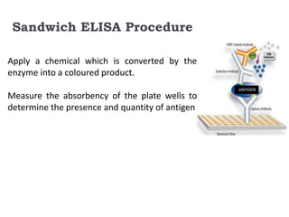 Sandwich ELISA Procedure 
Apply a chemical which is converted by the 
enzyme into a coloured product. 
Measure the absorbency of the plate wells to 
determine the presence and quantity of antigen 
 