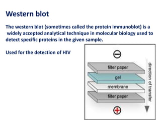Western blot 
The western blot (sometimes called the protein immunoblot) is a 
widely accepted analytical technique in molecular biology used to 
detect specific proteins in the given sample. 
Used for the detection of HIV 
 