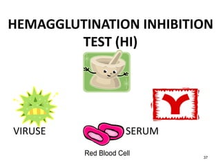 HEMAGGLUTINATION INHIBITION 
37 
TEST (HI) 
VIRUSE SERUM 
 