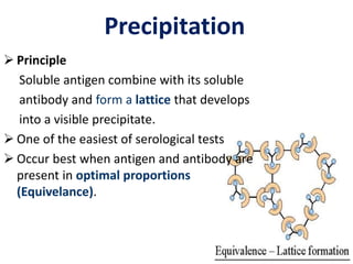  Principle 
Precipitation 
Soluble antigen combine with its soluble 
antibody and form a lattice that develops 
into a visible precipitate. 
 One of the easiest of serological tests 
 Occur best when antigen and antibody are 
present in optimal proportions 
(Equivelance). 
 