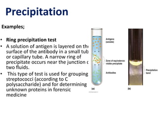 Precipitation 
Examples; 
• Ring precipitation test 
• A solution of antigen is layered on the 
surface of the antibody in a small tube 
or capillary tube. A narrow ring of 
precipitate occurs near the junction of 
two fluids. 
• This type of test is used for grouping 
streptococci (according to C 
polysaccharide) and for determining 
unknown proteins in forensic 
medicine 
 