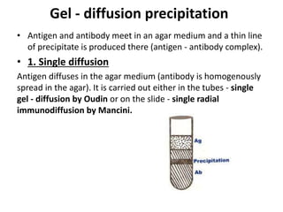 Gel - diffusion precipitation 
• Antigen and antibody meet in an agar medium and a thin line 
of precipitate is produced there (antigen - antibody complex). 
• 1. Single diffusion 
Antigen diffuses in the agar medium (antibody is homogenously 
spread in the agar). It is carried out either in the tubes - single 
gel - diffusion by Oudin or on the slide - single radial 
immunodiffusion by Mancini. 
 
