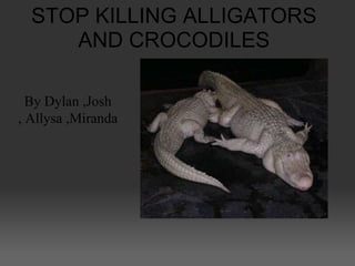 STOP KILLING ALLIGATORS
     AND CROCODILES

  By Dylan ,Josh
, Allysa ,Miranda
 