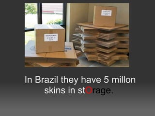 In Brazil they have 5 millon
     skins in stOrage.
 