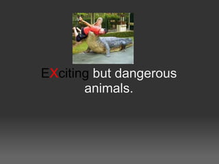 EXciting but dangerous
       animals.
 