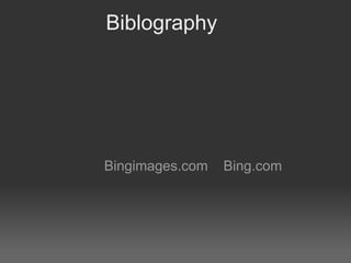 Biblography




Bingimages.com   Bing.com
 